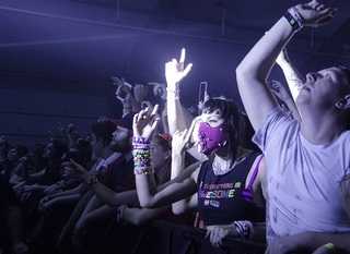 Jade Chamberlain was one of many Skrillex fans to dress up in costume for the concert.